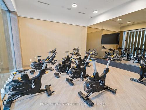 4011-30 Inn On The Park Dr, Toronto, ON - Indoor Photo Showing Gym Room