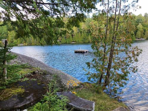 Bord de l'eau - 920 Ch. Du Lac-Winnetou, Amherst, QC - Outdoor With Body Of Water