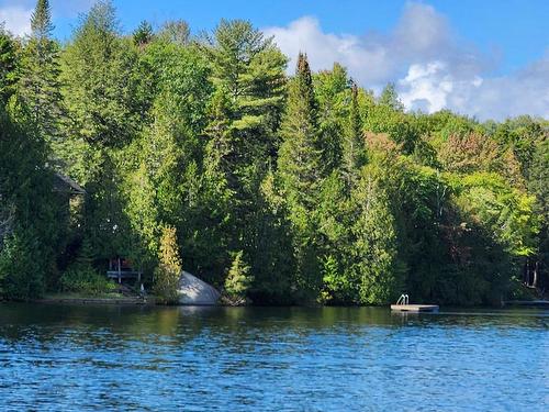 Vue d'ensemble - 920 Ch. Du Lac-Winnetou, Amherst, QC - Outdoor With Body Of Water