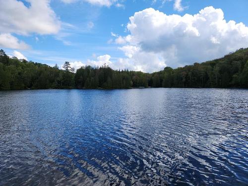 Vue sur l'eau - 920 Ch. Du Lac-Winnetou, Amherst, QC - Outdoor With Body Of Water With View