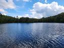 Vue sur l'eau - 920 Ch. Du Lac-Winnetou, Amherst, QC  - Outdoor With Body Of Water With View 