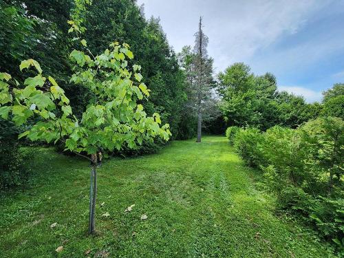 Terre/Terrain - 1970 Rue Glory, Clarenceville, QC - Outdoor