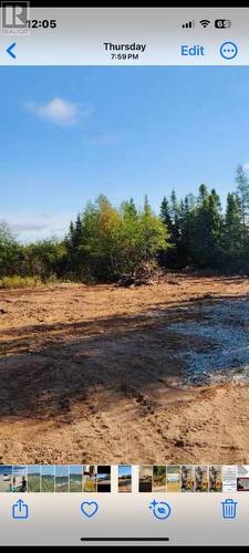 8A Sandy Stream Road, Howley, NL 