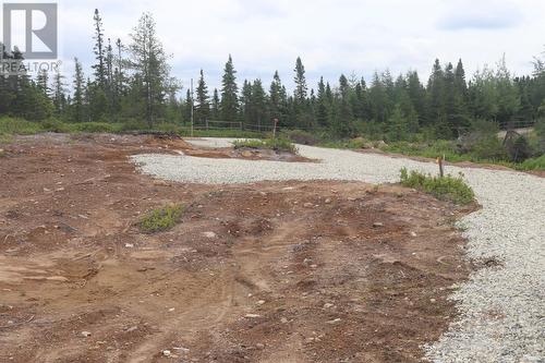 Lot 25-26 Sandy Stream Road, Howley, NL 