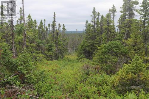 Lot 25-26 Sandy Stream Road, Howley, NL 