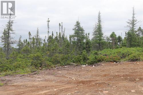 Lot 25-26 Sandy Stream Road, Howley, NL 