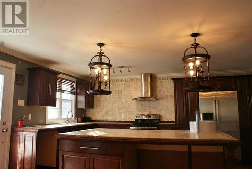 438 Main Street, Big Salmonier, NL - Indoor Photo Showing Kitchen With Upgraded Kitchen