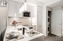 1402 - 101 Queen Street, Ottawa, ON  - Indoor Photo Showing Kitchen 