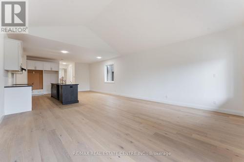 234 Mount Pleasant Street, Brantford, ON - Indoor Photo Showing Kitchen