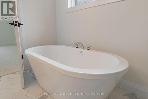 234 Mount Pleasant Street, Brantford, ON - Indoor Photo Showing Bathroom