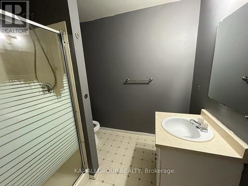 Bsmt - 38 Mayfair Drive, Welland, ON - Indoor Photo Showing Bathroom