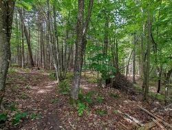 Wooded area - 