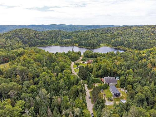 Vue - 5046 Ch. Lendman, Sainte-Agathe-Des-Monts, QC - Outdoor With View