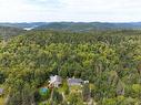 Vue - 5046 Ch. Lendman, Sainte-Agathe-Des-Monts, QC  - Outdoor With View 