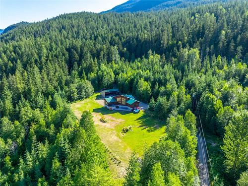 600 Highway 23 North, Revelstoke, BC - Outdoor With View