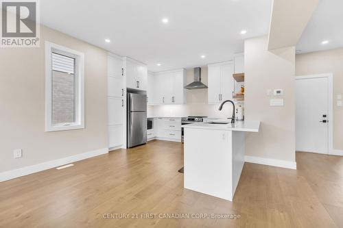 1619 Upper West Avenue, London, ON - Indoor Photo Showing Kitchen With Upgraded Kitchen