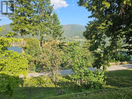 601 Valhalla Road, Nelson, BC - Outdoor With View