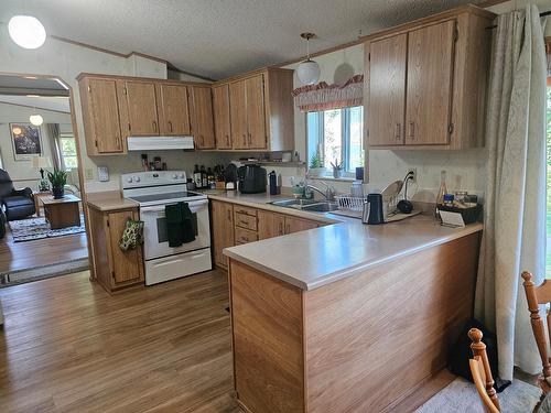 601 Valhalla Road, Nelson, BC - Indoor Photo Showing Kitchen With Double Sink