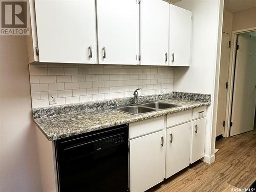 203 1902 Pearson Avenue, North Battleford, SK - Indoor Photo Showing Kitchen With Double Sink