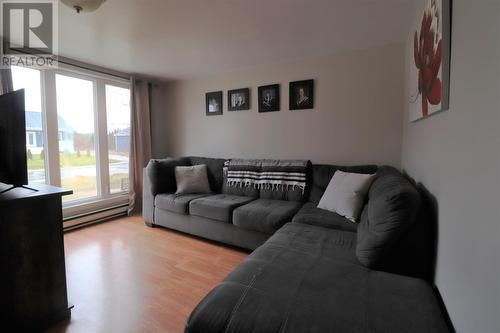 24 Airport Avenue, Deer Lake, NL - Indoor Photo Showing Living Room