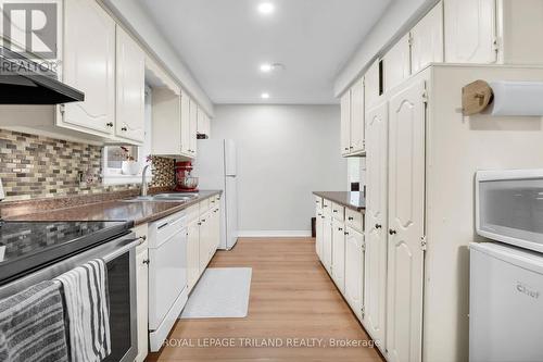 1447 Adelaide Street N, London, ON - Indoor Photo Showing Kitchen With Double Sink