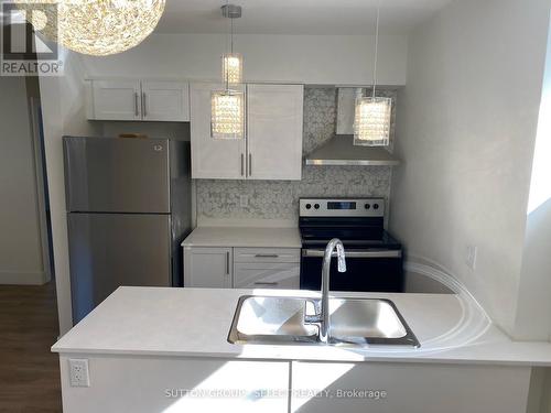 894 Adelaide Street N, London, ON - Indoor Photo Showing Kitchen With Stainless Steel Kitchen