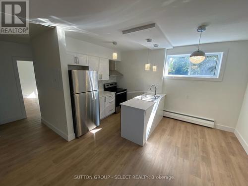 894 Adelaide Street N, London, ON - Indoor Photo Showing Kitchen With Stainless Steel Kitchen