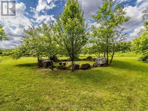 247380 5Th Side Road, Mono, ON - Outdoor With View