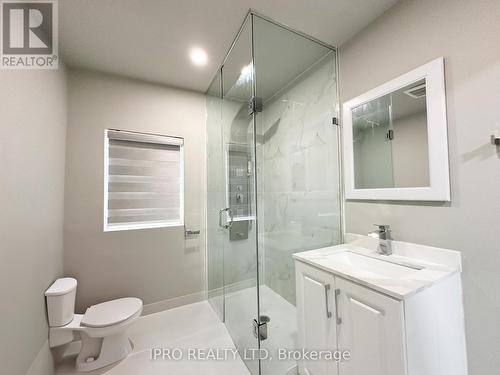 93 Mill Street N, Brampton (Downtown Brampton), ON - Indoor Photo Showing Bathroom