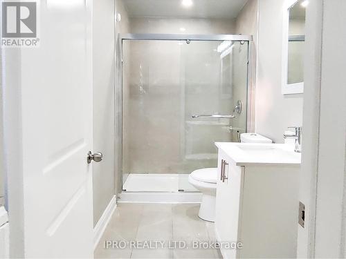 93 Mill Street N, Brampton (Downtown Brampton), ON - Indoor Photo Showing Bathroom