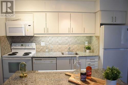 2006 - 33 Sheppard Avenue E, Toronto (Willowdale East), ON - Indoor Photo Showing Kitchen