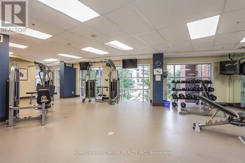 2006 - 33 Sheppard Avenue E, Toronto (Willowdale East), ON - Indoor Photo Showing Gym Room