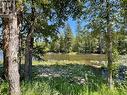 Lot 57 Riverside Drive Unit# 273, Yahk, BC 