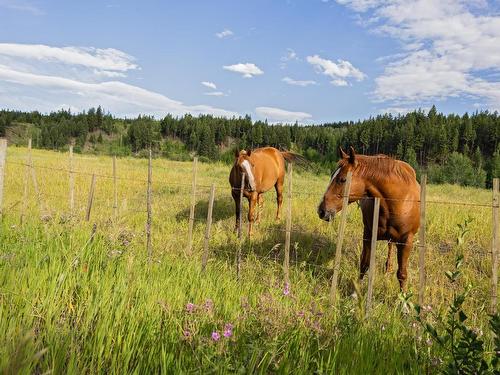 8510 Tranquille Criss Crk Road, Kamloops, BC - Outdoor With View