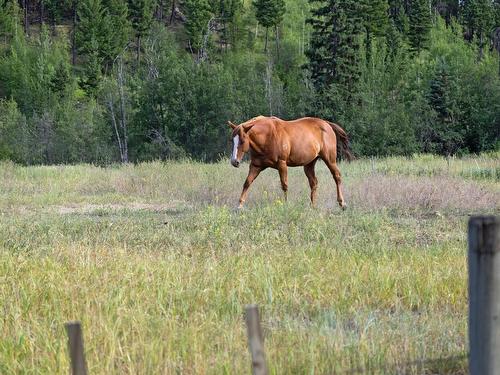 Lot 7 Tranquille Criss Crk Road, Kamloops, BC 