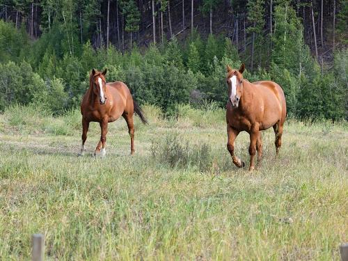 Lot 7 Tranquille Criss Crk Road, Kamloops, BC 