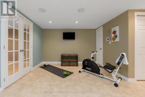 12596 22 Side Road, Halton Hills (Limehouse), ON - Indoor Photo Showing Gym Room