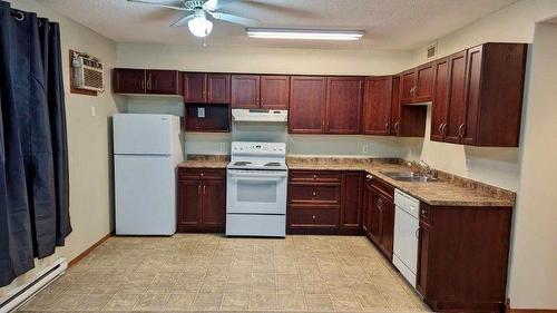 540 12Th Street, Brandon, MB - Indoor Photo Showing Kitchen With Double Sink