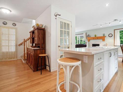 Kitchen - 20 Ch. Des Tournesols, Sainte-Anne-Des-Lacs, QC - Indoor