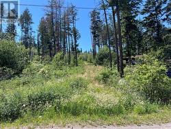 7932 Alpine Rd - 