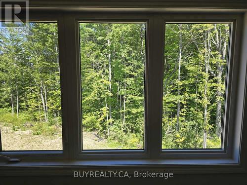 355 Beechwood Forest Lane, Gravenhurst, ON -  Photo Showing Other Room