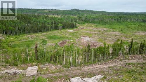 26023 Lily Lake Road, Fort Fraser, BC - Outdoor With View