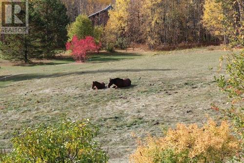 15 Walsh Road, Fort Nelson, BC - Outdoor