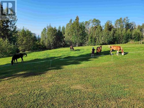 15 Walsh Road, Fort Nelson, BC - Outdoor