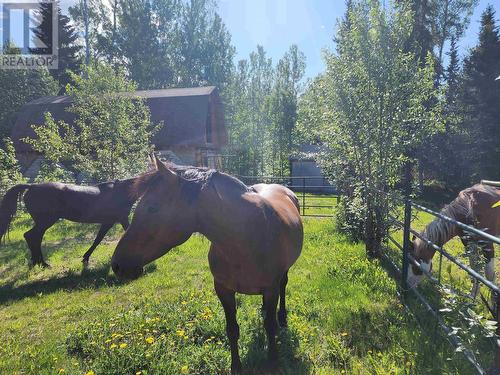 15 Walsh Road, Fort Nelson, BC - Outdoor With View