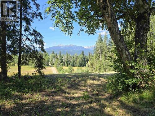 200 Whiskeyfill Road, Valemount, BC - Outdoor With View