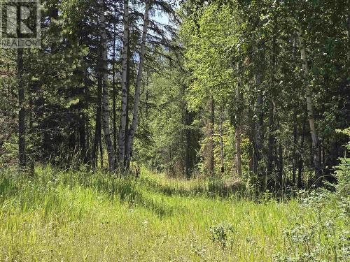 200 Whiskeyfill Road, Valemount, BC - Outdoor With View