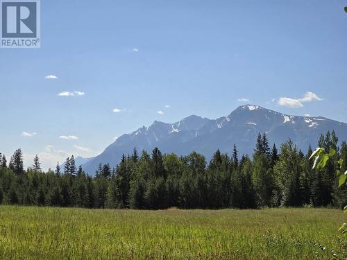 200 Whiskeyfill Road, Valemount, BC - Outdoor With View