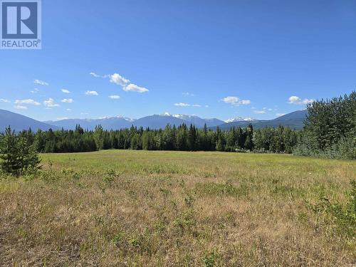 200 Whiskeyfill Road, Valemount, BC - Outdoor With View