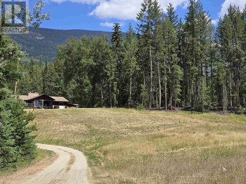 200 Whiskeyfill Road, Valemount, BC - Outdoor With View